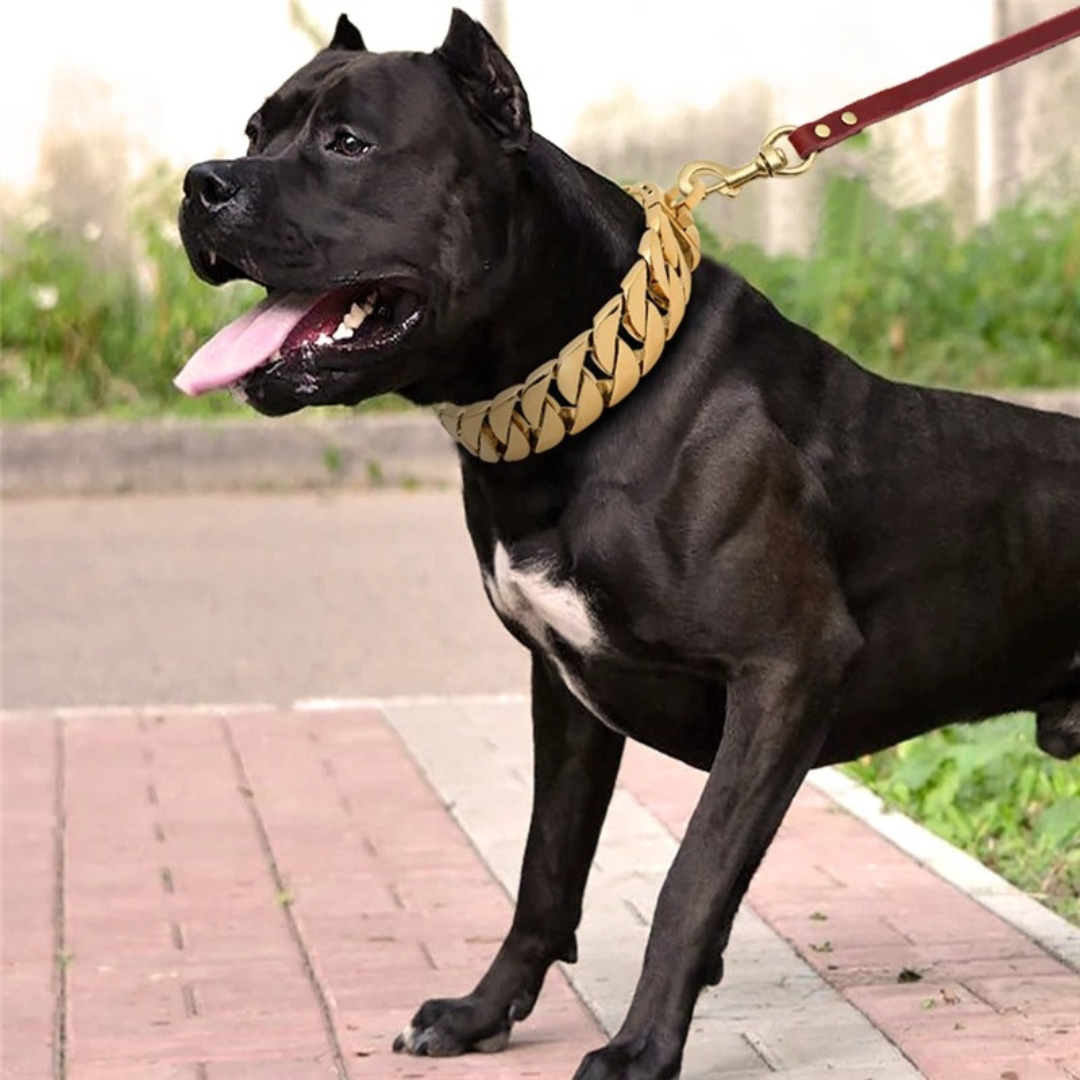 PawRoyale – SteelLead – Kausichere Edelstahlleine mit Ledergriff