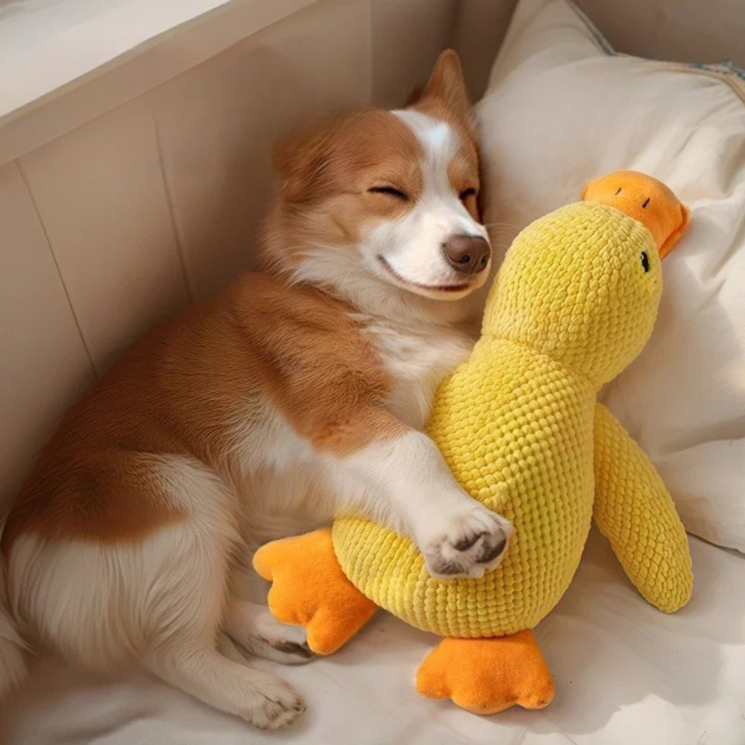 SnuggleQuack – RelaxDuck – Beruhigendes Quietschspielzeug gegen Stress