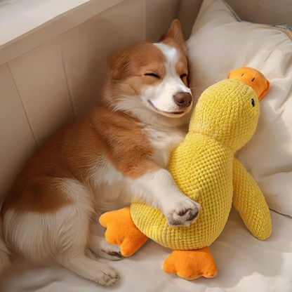 SnuggleQuack – RelaxDuck – Beruhigendes Quietschspielzeug gegen Stress